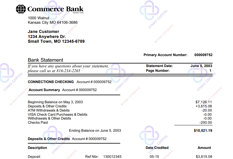 Example protected submission with visible watermark